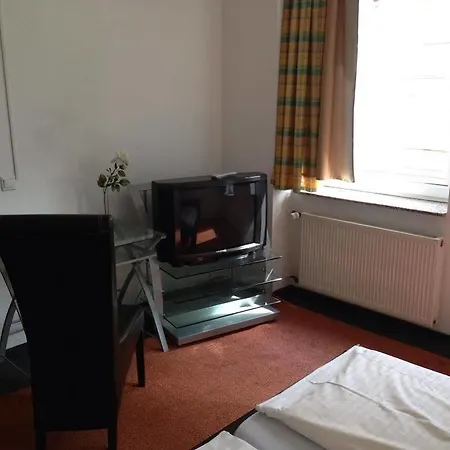 Hotel Goldener Hahn 2*