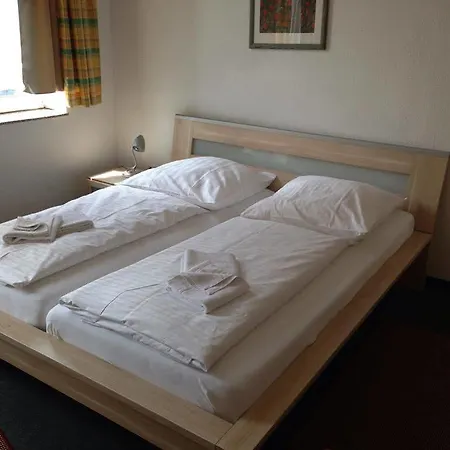 Hotel Goldener Hahn 2*
