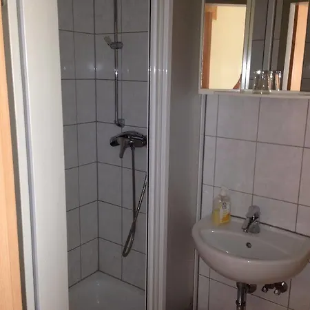 Hotell Goldener Hahn 2*