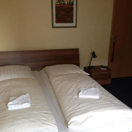 Goldener Hahn 2* Duisburg